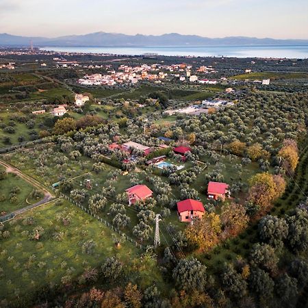 ロッサーノ La Piana Degli Ulivi Bed & Breakfast エクステリア 写真