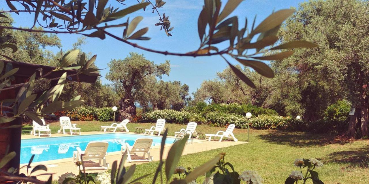 ロッサーノ La Piana Degli Ulivi Bed & Breakfast エクステリア 写真
