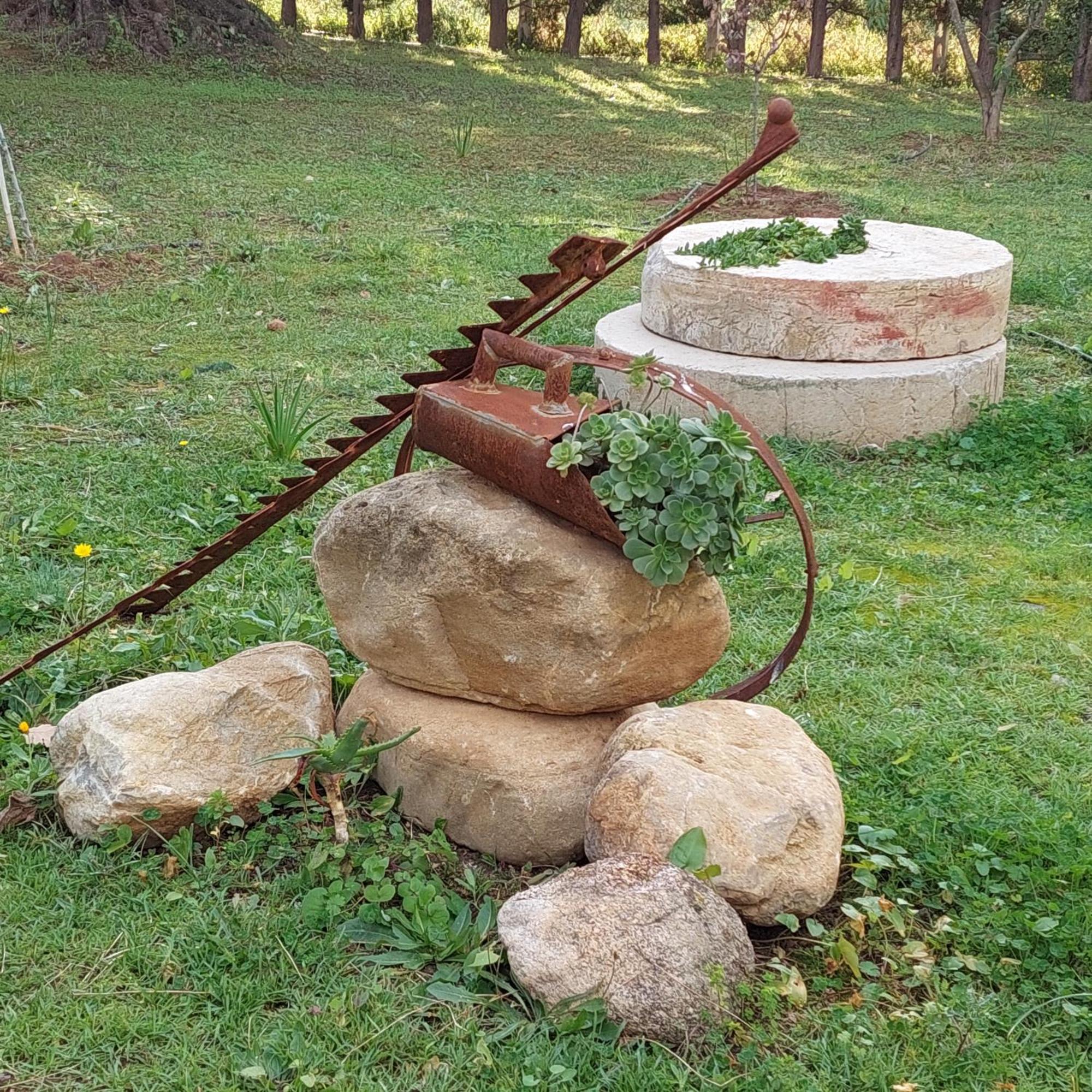 ロッサーノ La Piana Degli Ulivi Bed & Breakfast エクステリア 写真