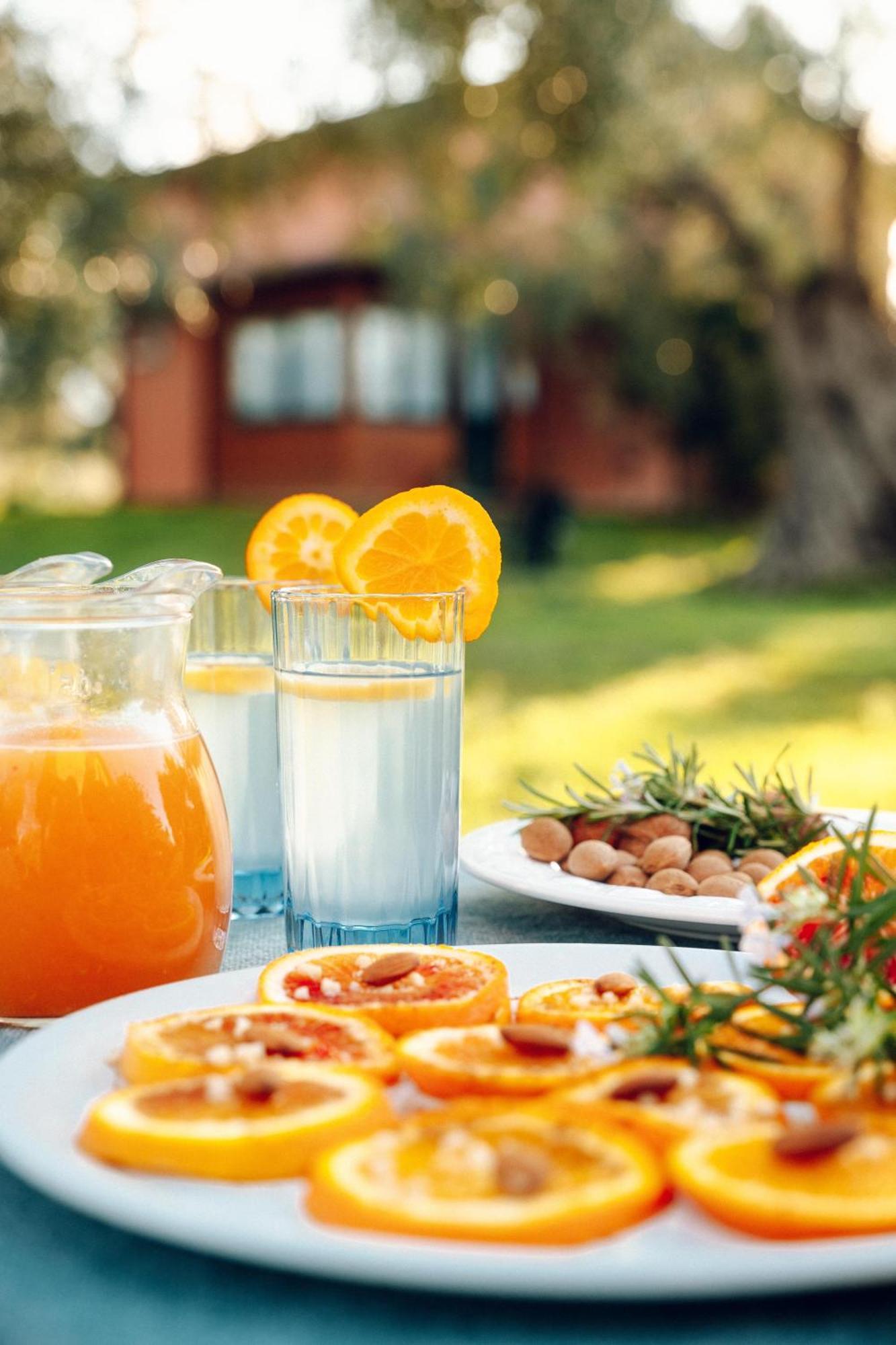 ロッサーノ La Piana Degli Ulivi Bed & Breakfast エクステリア 写真